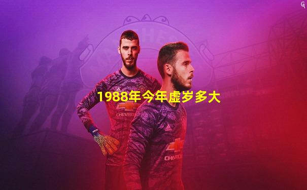 1988年今年虚岁多大