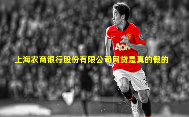 上海农商银行股份有限公司网贷是真的假的