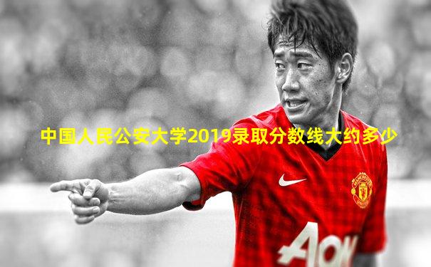 中国人民公安大学2019录取分数线大约多少