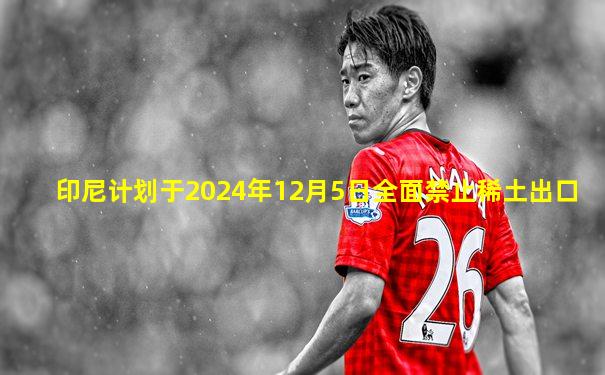 印尼计划于2024年12月5日全面禁止稀土出口