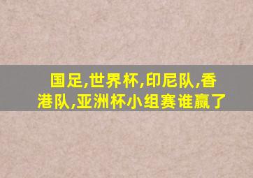 国足,世界杯,印尼队,香港队,亚洲杯小组赛谁赢了