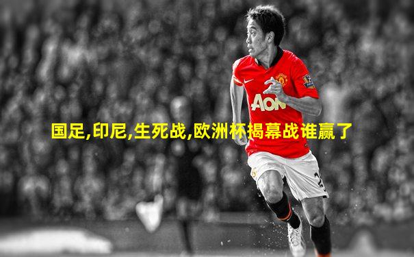 国足,印尼,生死战,欧洲杯揭幕战谁赢了