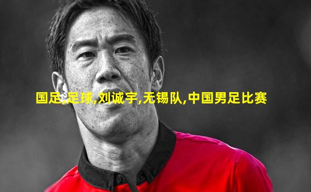 国足,足球,刘诚宇,无锡队,中国男足比赛