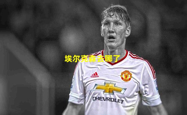 埃尔克森去哪了