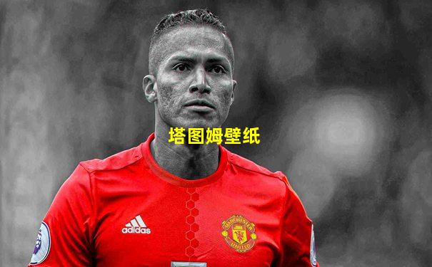 塔图姆壁纸