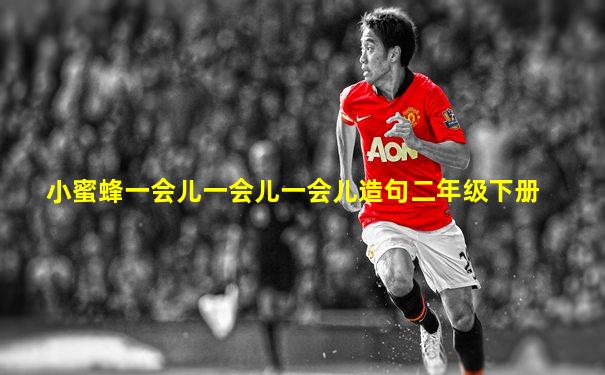 小蜜蜂一会儿一会儿一会儿造句二年级下册