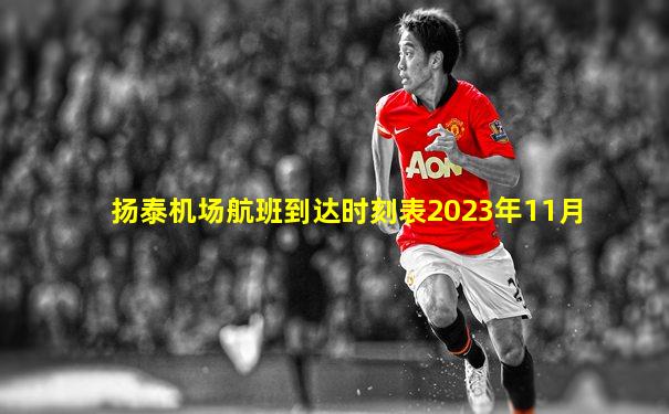 扬泰机场航班到达时刻表2023年11月