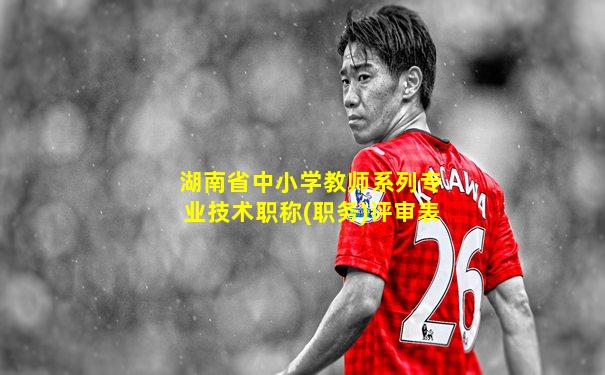 湖南省中小学教师系列专业技术职称(职务)评审表