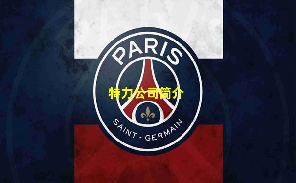 特力公司简介
