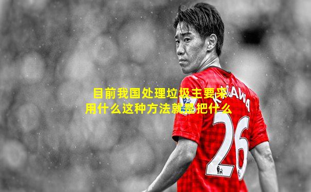 目前我国处理垃圾主要采用什么这种方法就是把什么