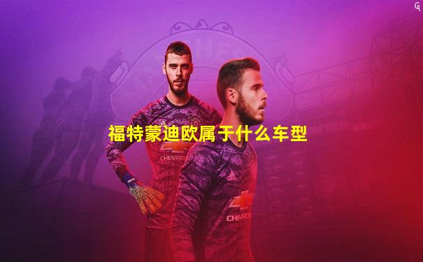 福特蒙迪欧属于什么车型