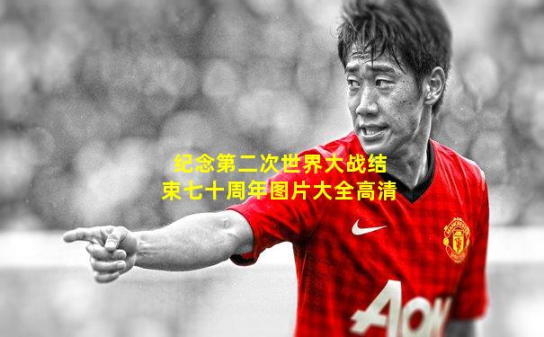 纪念第二次世界大战结束七十周年图片大全高清