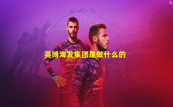 英博海发集团是做什么的