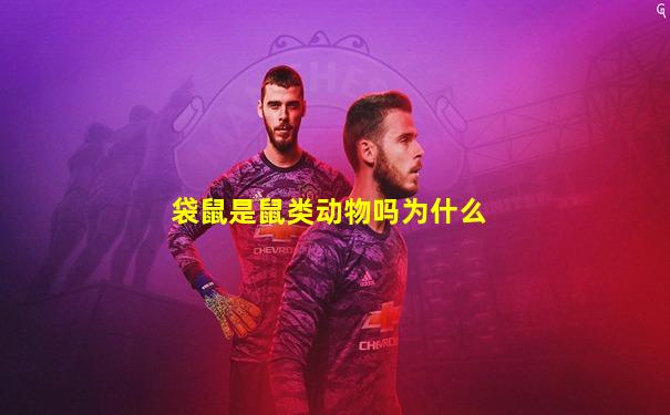袋鼠是鼠类动物吗为什么
