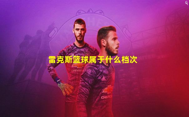 雷克斯篮球属于什么档次