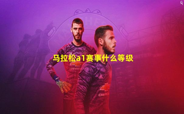 马拉松a1赛事什么等级