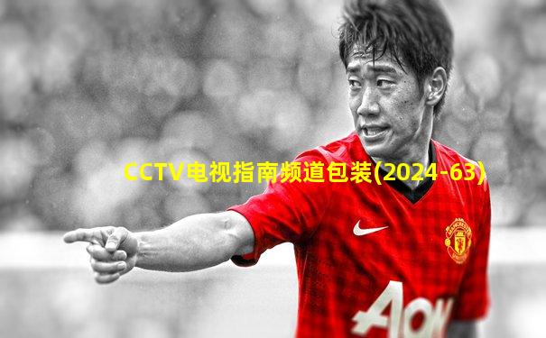 CCTV电视指南频道包装(2024-63)