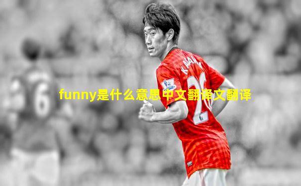 funny是什么意思中文翻译文翻译