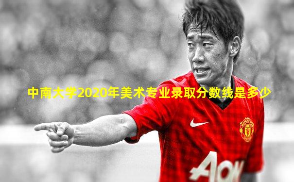中南大学2020年美术专业录取分数线是多少