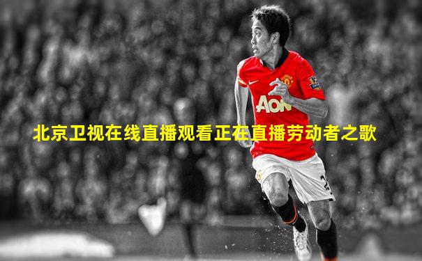 北京卫视在线直播观看正在直播劳动者之歌