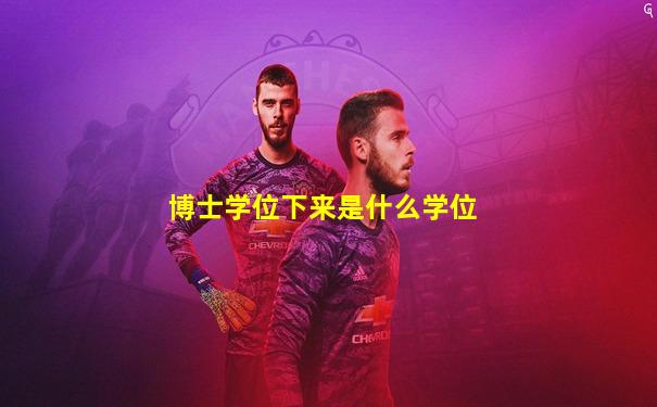 博士学位下来是什么学位