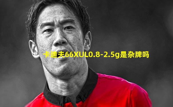 卡迪夫66XUL0.8-2.5g是杂牌吗