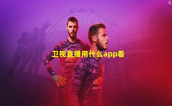 卫视直播用什么app看