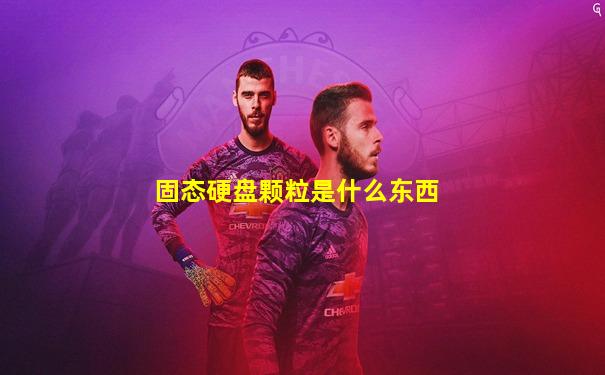 固态硬盘颗粒是什么东西