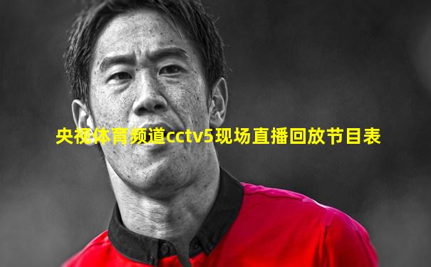 央视体育频道cctv5现场直播回放节目表