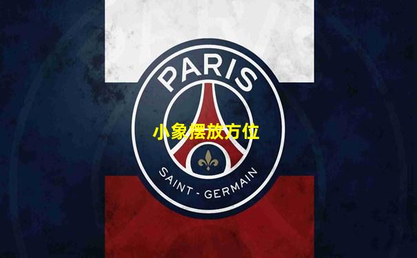 小象摆放方位