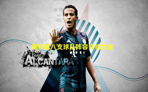 洛杉矶八支球队阵容介绍大全