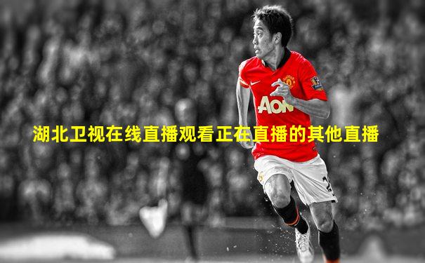 湖北卫视在线直播观看正在直播的其他直播