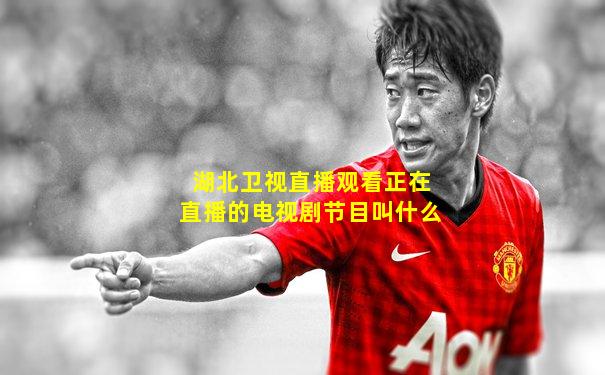 湖北卫视直播观看正在直播的电视剧节目叫什么