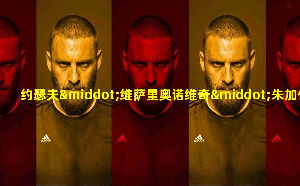 约瑟夫·维萨里奥诺维奇·朱加什维利