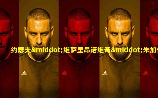 约瑟夫·维萨里昂诺维奇·朱加什维利