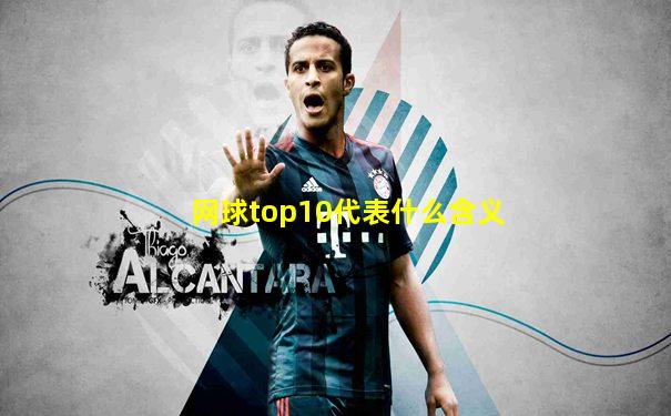 网球top10代表什么含义