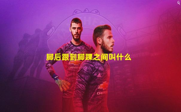 脚后跟到脚踝之间叫什么