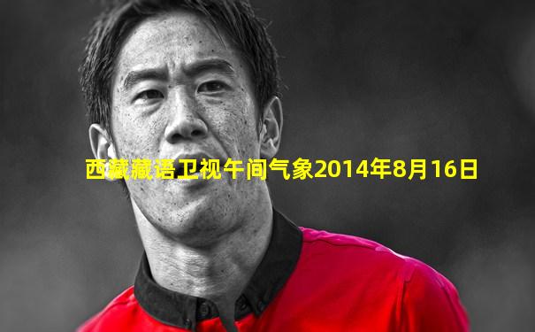 西藏藏语卫视午间气象2014年8月16日