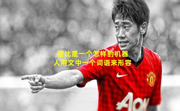 诺比是一个怎样的机器人用文中一个词语来形容