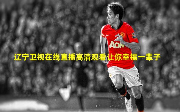 辽宁卫视在线直播高清观看让你幸福一辈子
